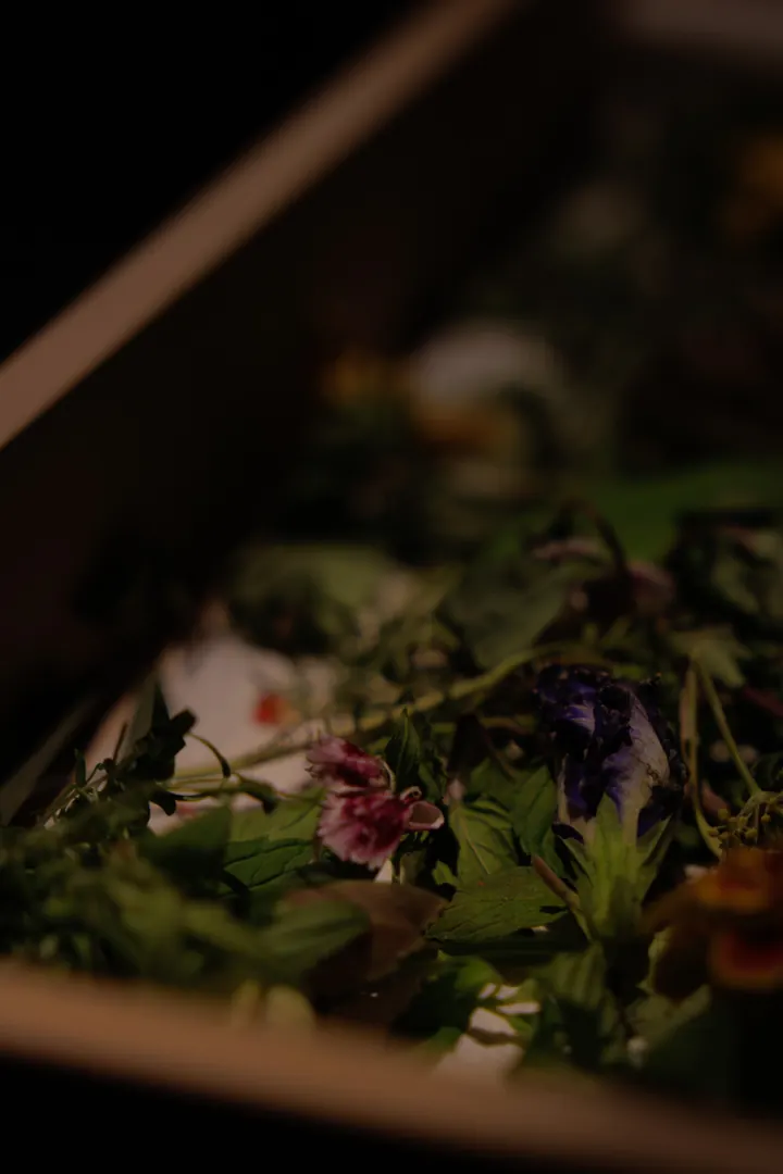 木箱の中の葉と花、その断片。